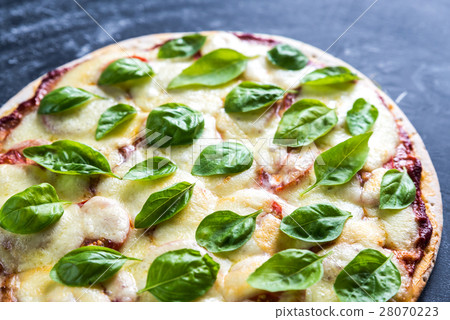 Pizza Margherita 28070223