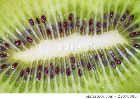 Kiwi fruit with green pulp and black seeds 28070396