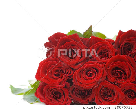 Nature stock images Nature stock images 28070735