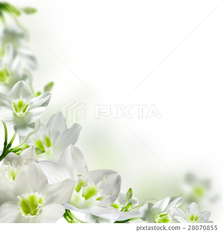 Nature stock images 28070855
