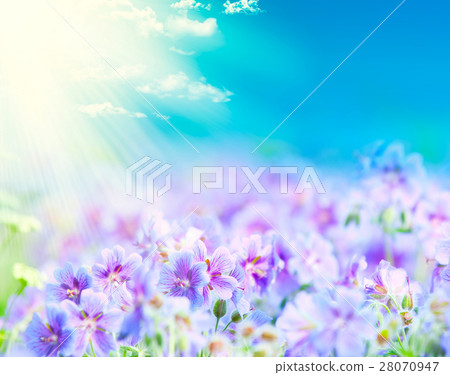 Nature stock images 28070947