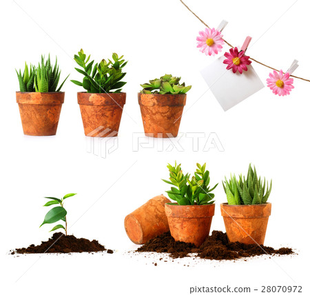 Nature stock images 28070972