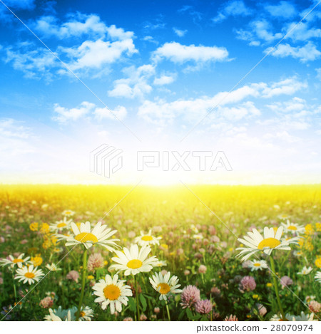 Nature stock images Nature stock images 28070974