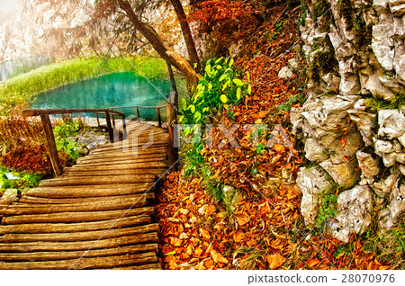Nature stock images Nature stock images 28070976