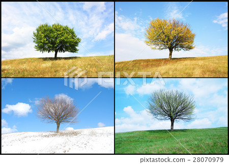 Nature stock images Nature stock images 28070979