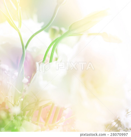 Nature stock images 28070997