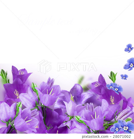 Nature stock images 28071002