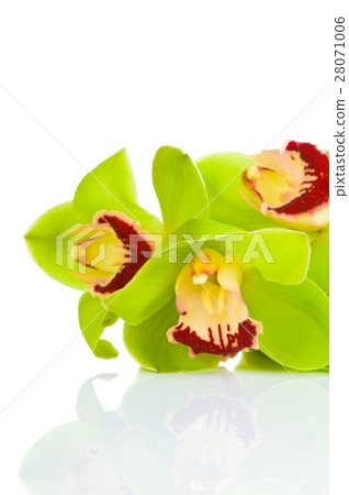 Nature stock images 28071006