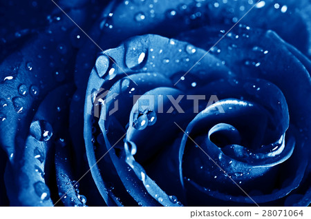 Nature stock images 28071064