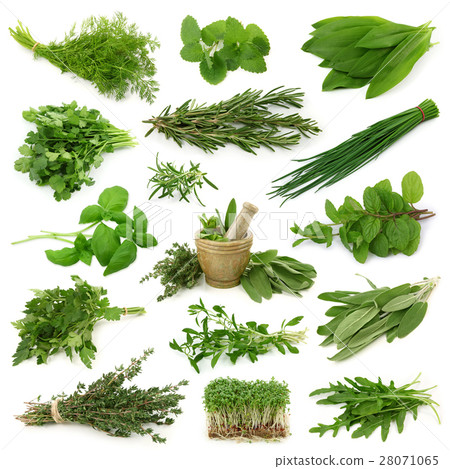 Nature stock images 28071065