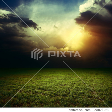 Nature stock images Nature stock images 28071080