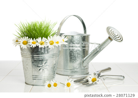 Nature stock images 28071129
