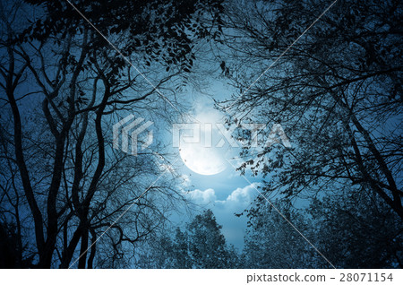 Nature stock images Nature stock images 28071154