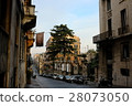 The back streets of Rome 28073050