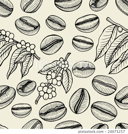 background with branch of coffee background with branch of coffee 28073257
