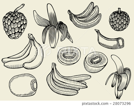 Tropical Fruits Set. 28073296