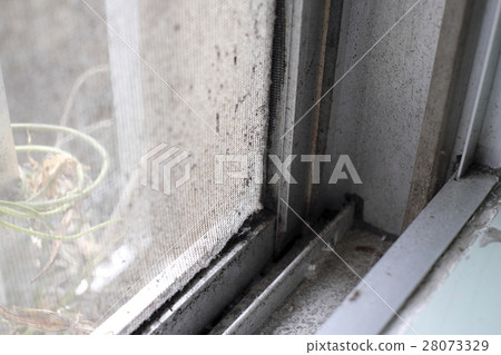 臟門屏幕 28073329