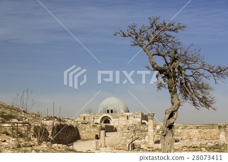 The ruins of the ancient citadel in Amman, Jordan  28073411