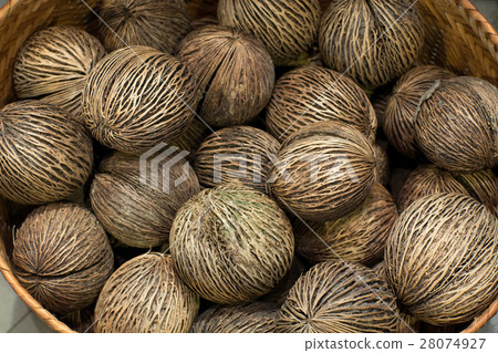 Sucide fruit seeds Sucide fruit seeds 28074927