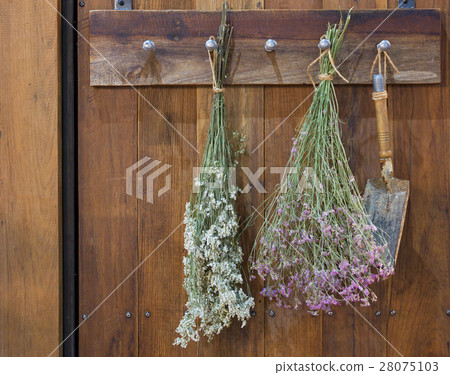 Wooden vintage style Hanger 28075103