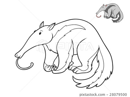 Coloring book, Anteater 28079500