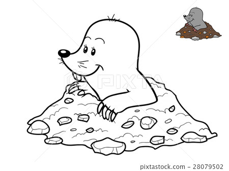 Coloring book, Mole 28079502