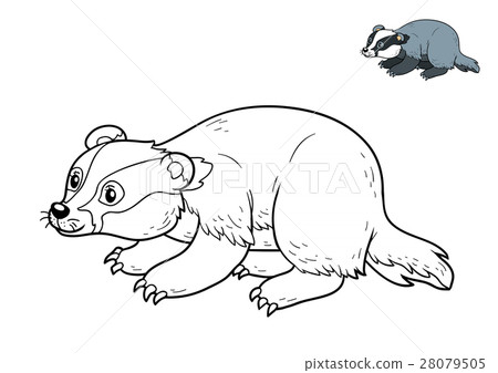 Coloring book, Badger 28079505