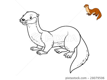 Coloring book, Otter 28079506