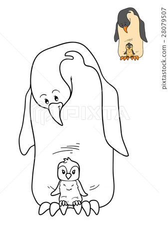 Coloring book, Penguin 28079507