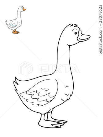 Coloring book, Goose Coloring book, Goose 28079522
