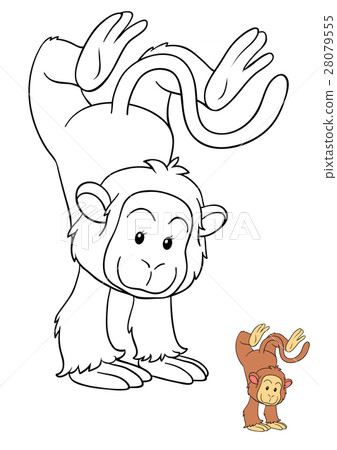 Coloring book, Monkey Coloring book, Monkey 28079555