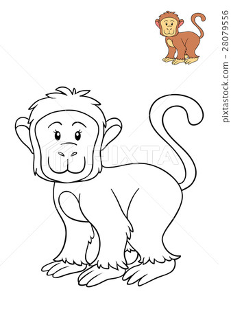 Coloring book, Monkey 28079556