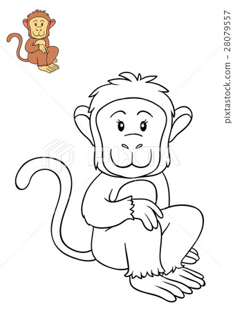 Coloring book, Monkey Coloring book, Monkey 28079557