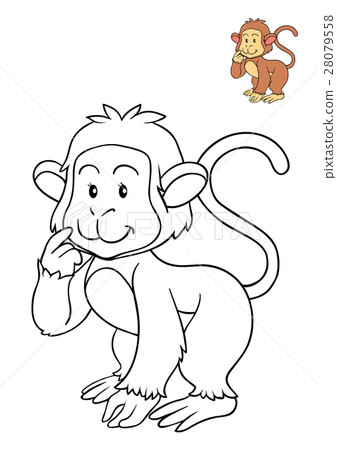 Coloring book, Monkey Coloring book, Monkey 28079558