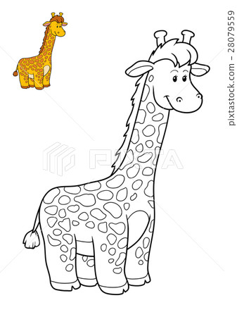 Coloring book, Giraffe Coloring book, Giraffe 28079559