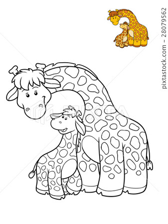Coloring book, Giraffe Coloring book, Giraffe 28079562