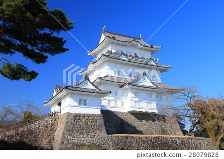 小田原城堡在陽光下 小田原城堡在陽光下 28079828