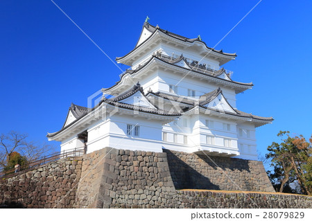 小田原城堡在陽光下 小田原城堡在陽光下 28079829