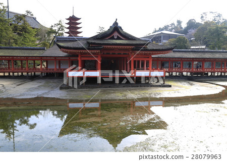 Itsukushima shrine visitor shi repair 28079963