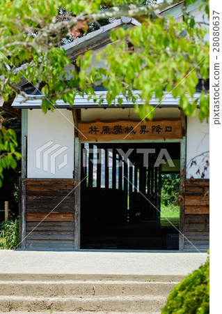 舊學校建築（65） 28080637
