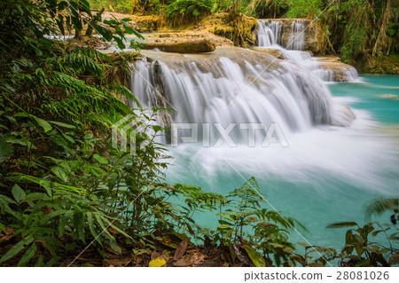 Kuang Si Waterfall, Luang prabang, Laos 28081026