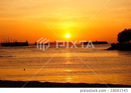 Singapore sunset 28081545