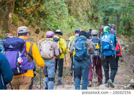 Hiking to Himalaya mountain in Nepal , trekking  28082556