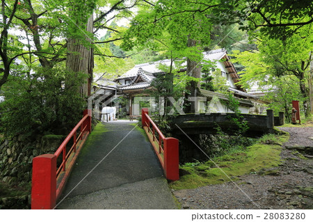 Tanihiyama Huge Temple · 8 (Gifu Prefecture Ibi-gun Ibigawa-cho Tanimori) 28083280