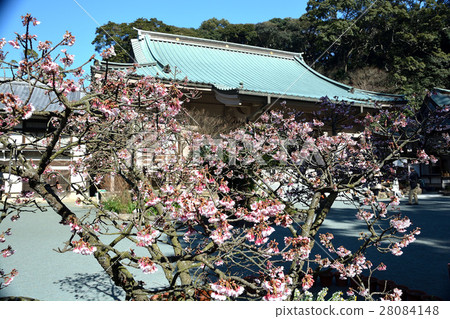 金宿寺和櫻桃碼頭 28084148