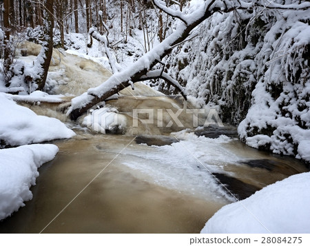 Frozen cascade of waterfall,icy twigs and boulders Frozen cascade of waterfall,icy twigs and boulders 28084275