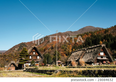 Shirakawa-go / Autumn（66） 28084632