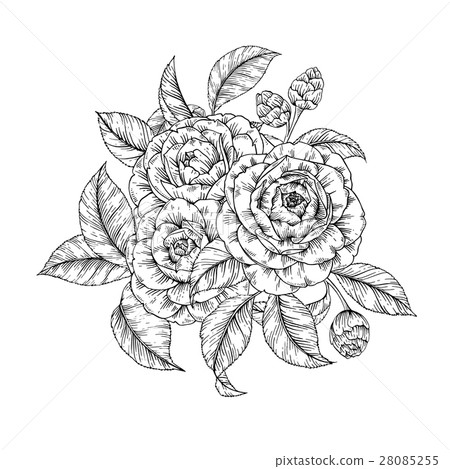 Floral camellia print Floral camellia print 28085255