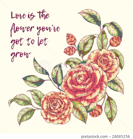 Floral camellia print Floral camellia print 28085256