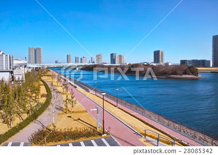 Toyosu Fishery wholesale and canal Toyosu Fishery wholesale and canal 28085342